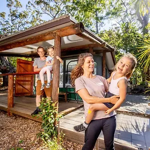  Campsite Binna Burra Rainforest Campsite Australia